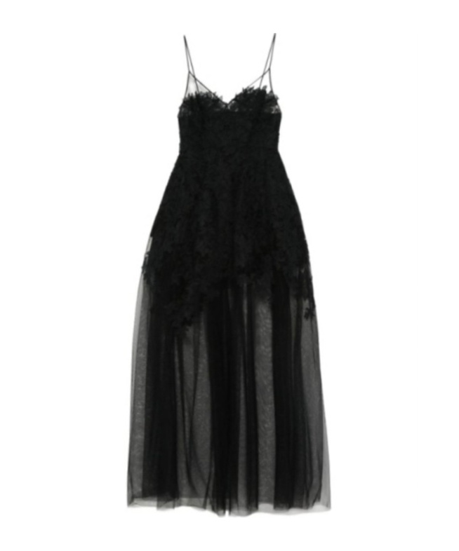 Ermanno Scervino Floral-lace Tulle Maxi Dress In Black
