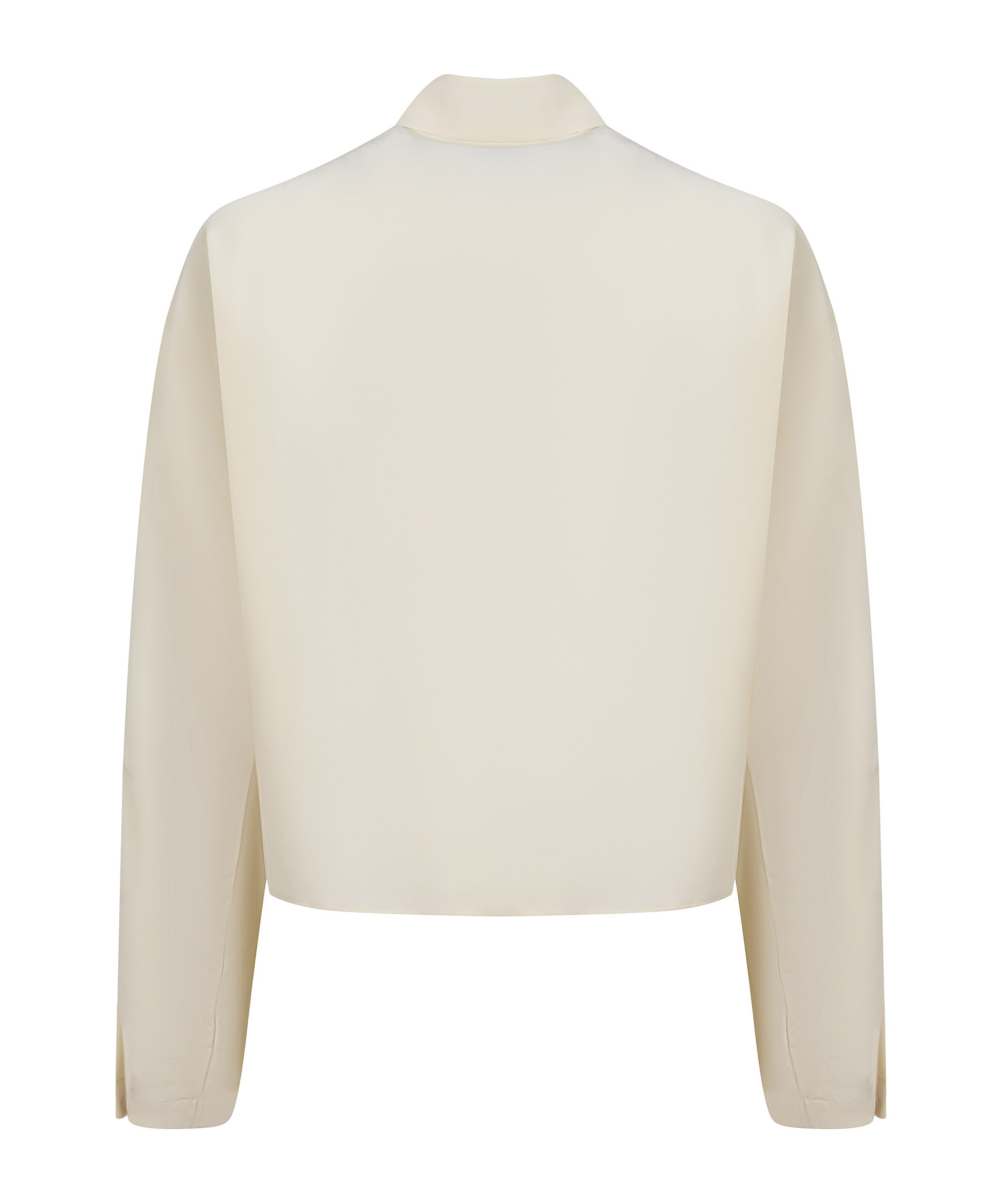 Alysi Pointed Collar Long-sleeved Shirt In Neutral