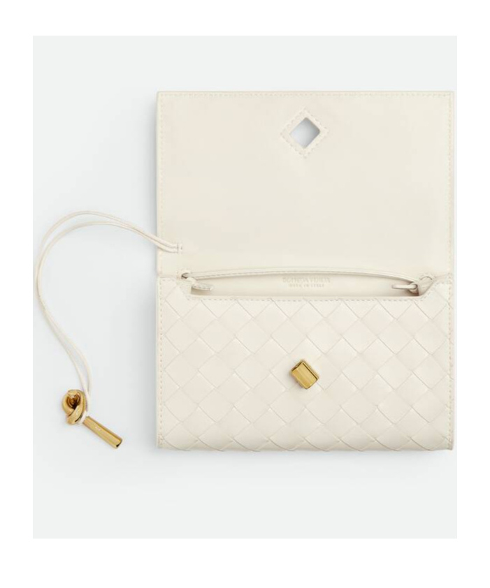 Bottega Veneta Andiamo Intrecciato Leather Crossbody Bag