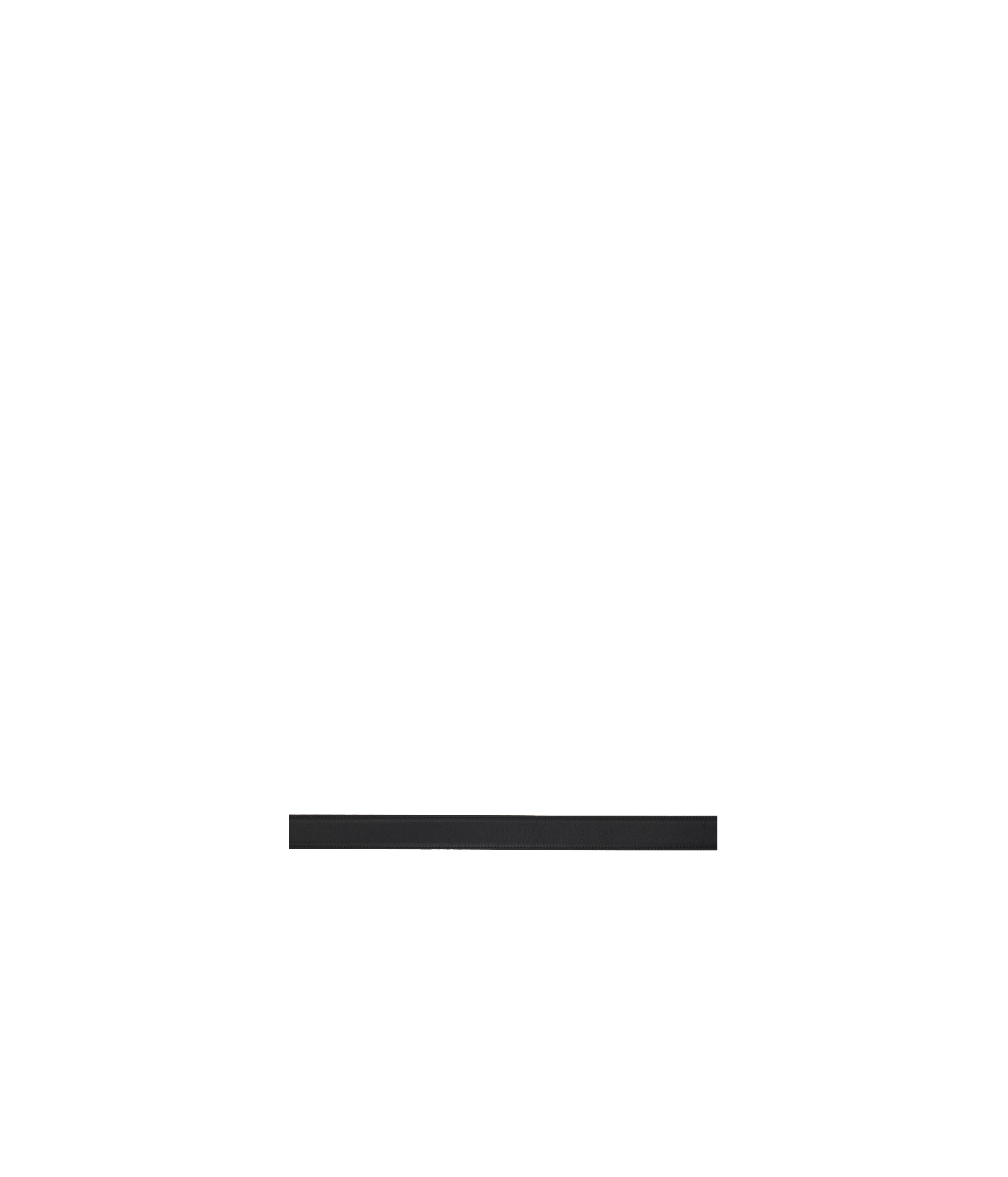 The Row Logo Belt In Black