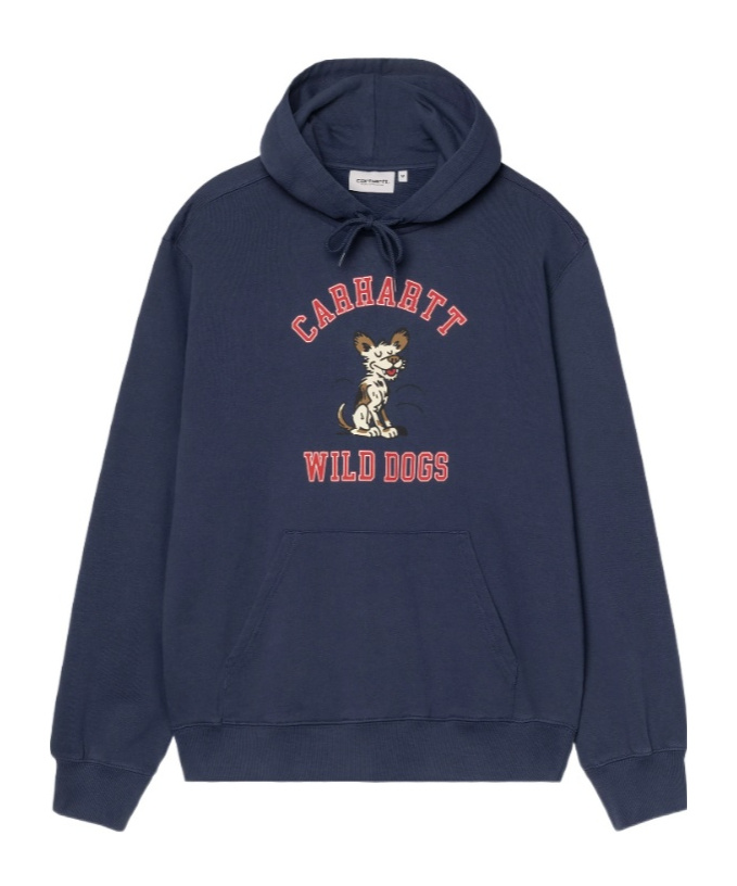 Carhartt Graphic Hooded Sweatshirt Kangaroo Pocket In Blue