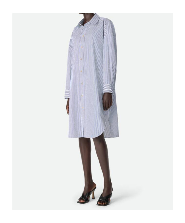 Bottega Veneta Pinstripe Cotton Poplin Dress In Multi