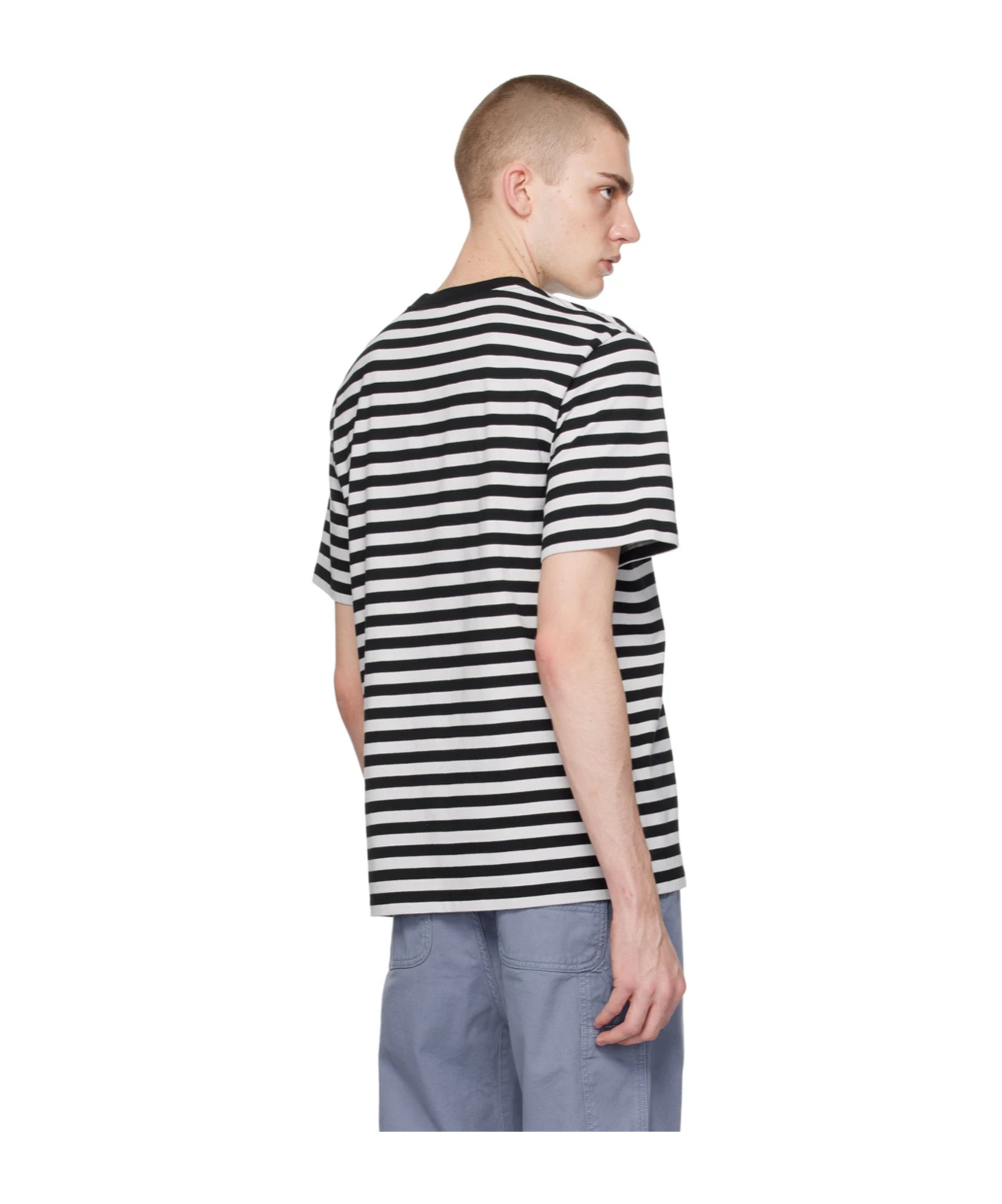 Carhartt Scotty Striped T-shirt In Multicolor