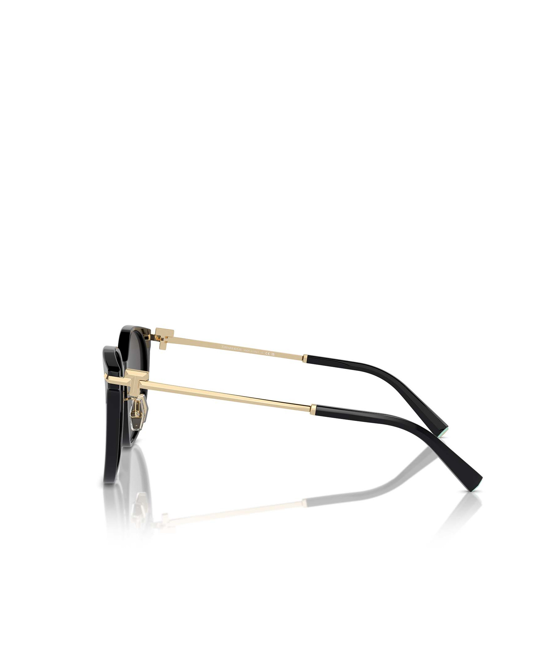 Tiffany & Co Full Frame Sunglasses In Black