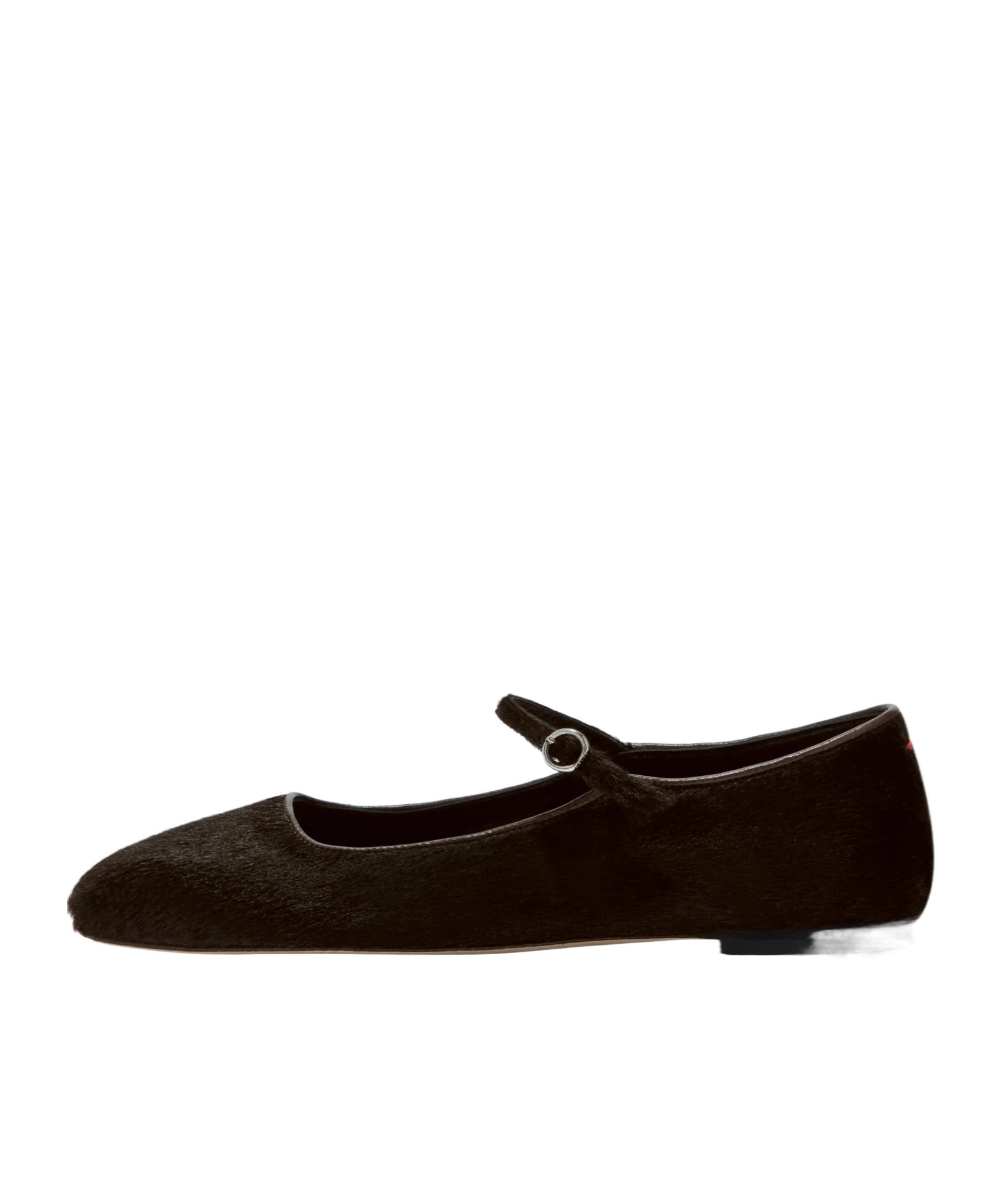 Aeyde Flat Ballerina Shoes Buckle Strap In Black