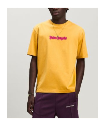 Palm Angels Solid Color Crew-neck T-shirt With Embroidered Logo In Multi