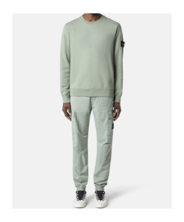 Stone Island 3100313 Supima Cotton Twill Stretch-tc In Green