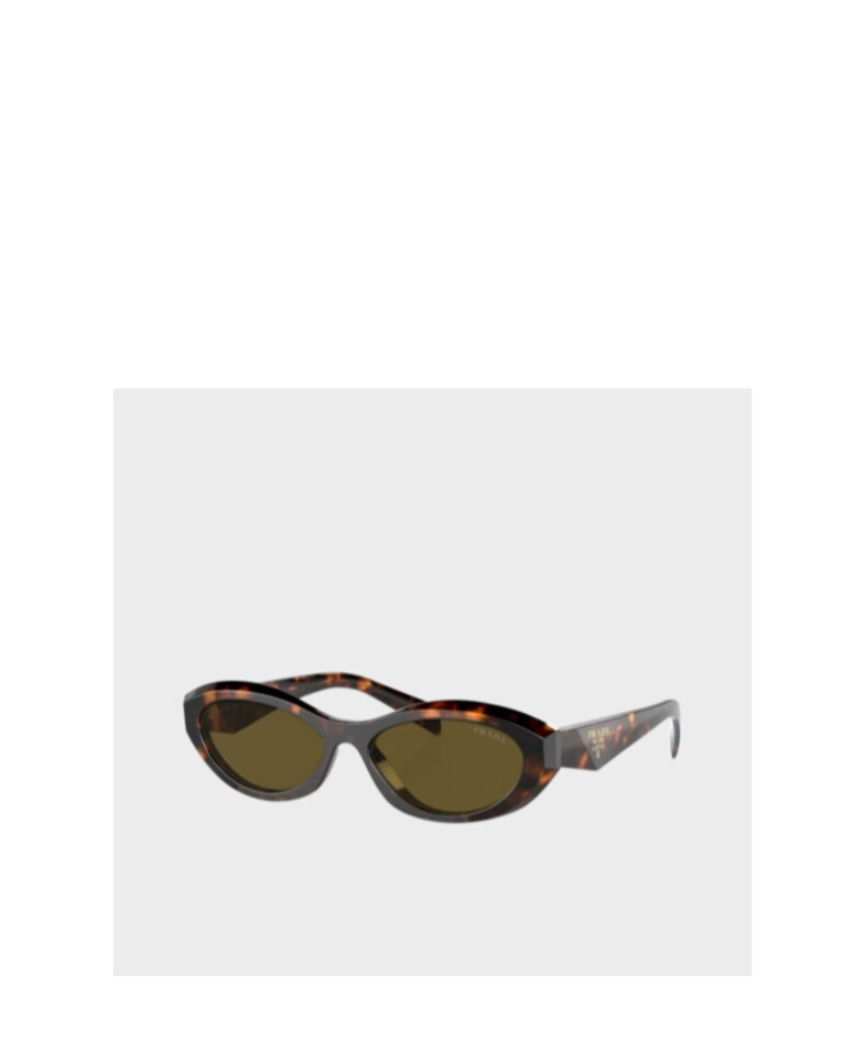 Prada Catwalk Cat-eye Acetate Sunglasses In Green