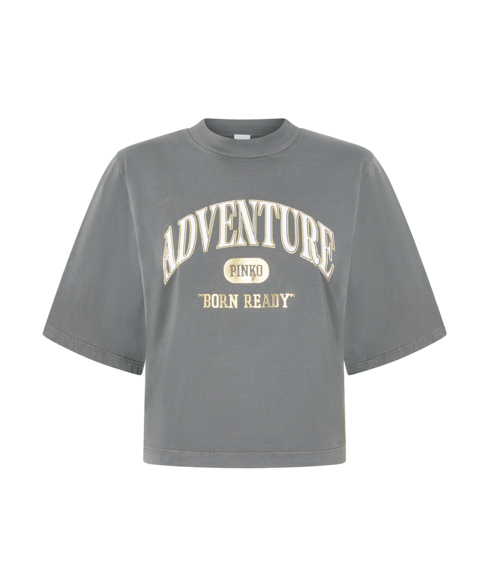 Shop Pinko Adventure T-shirt In Gray