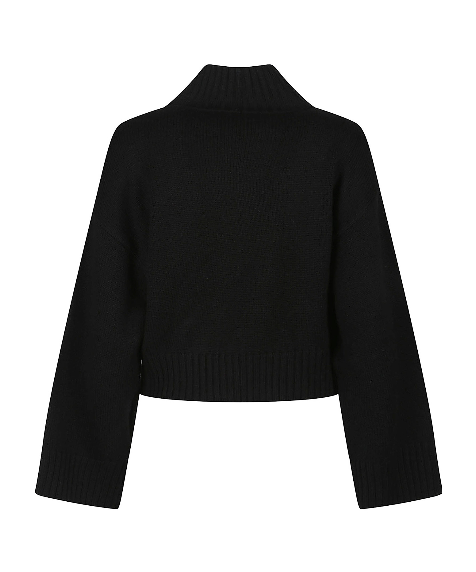 Fabiana Filippi Turtle Neck Sweater In Black