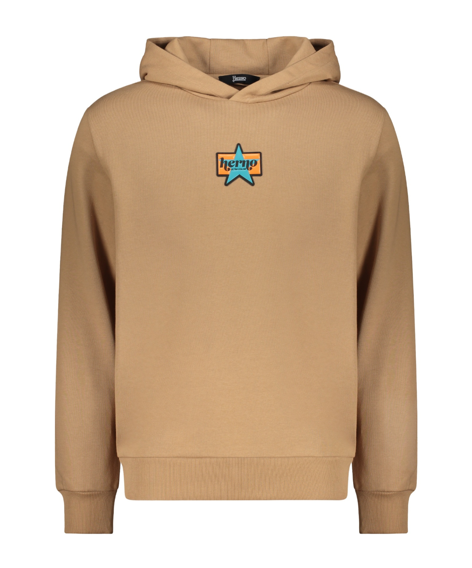 Herno Hooded Sweatshirt In Brown