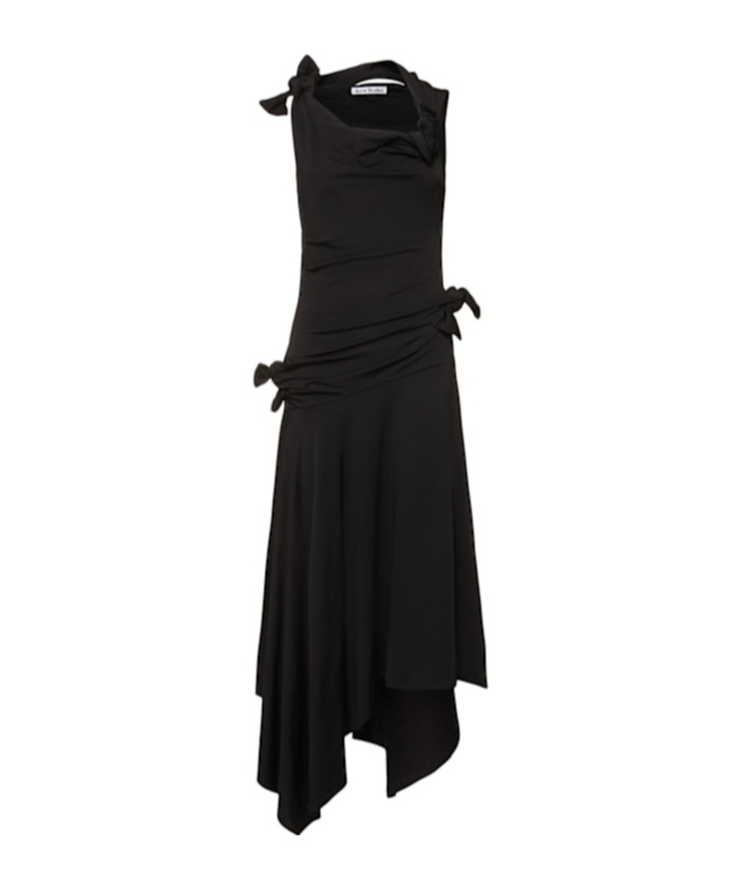 Acne Studios Enouk Dress
