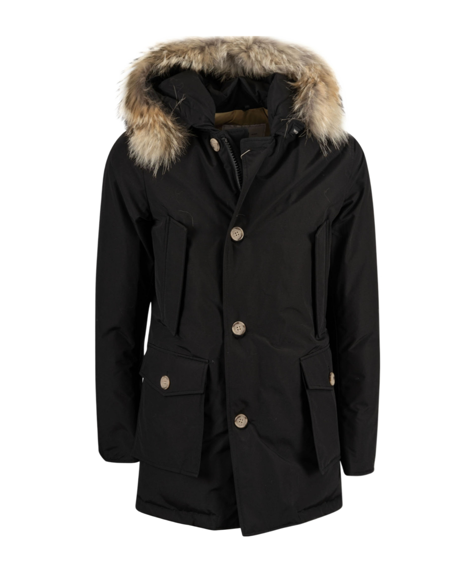 Woolrich Navy Blue Hooded Cotton-padded Jacket In Black