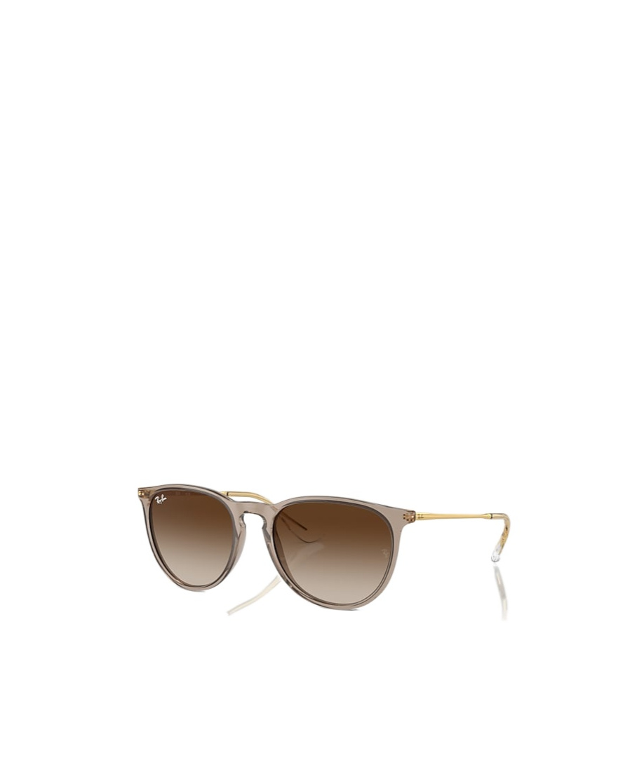 Ray Ban Ray-ban Erika 54mm Gradient Round Sunglasses In Brown