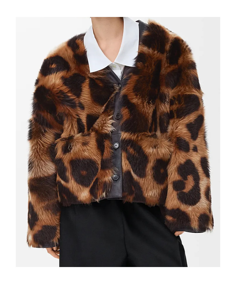 Loewe Leopard-print Shearling Jacket In Multi