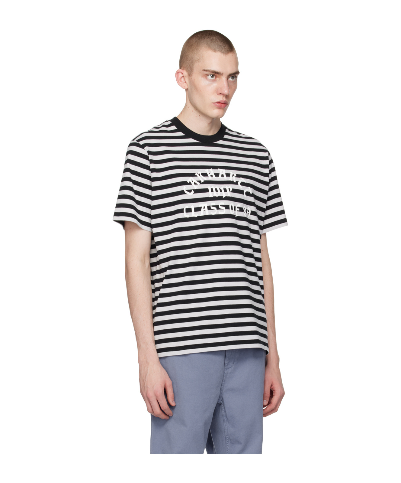 Carhartt Scotty Striped T-shirt In Multicolor