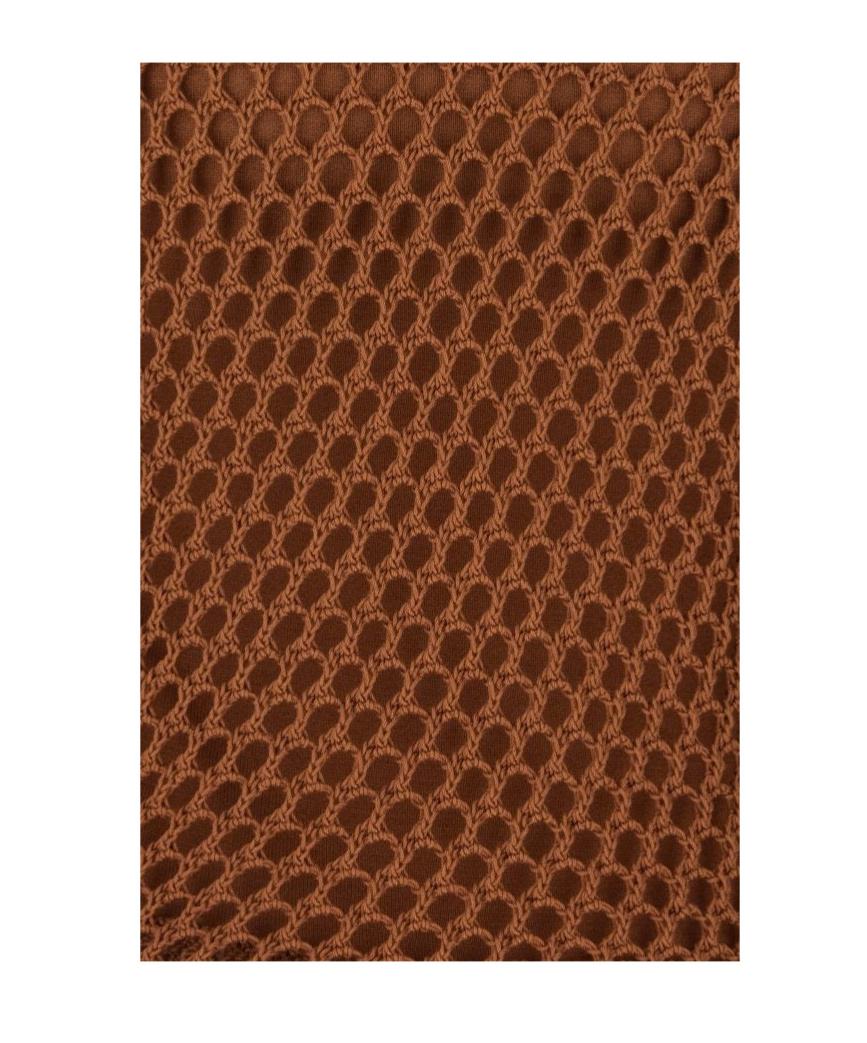 Alberta Ferretti Mesh Top With Long Sleeves And Round Neck In Brown