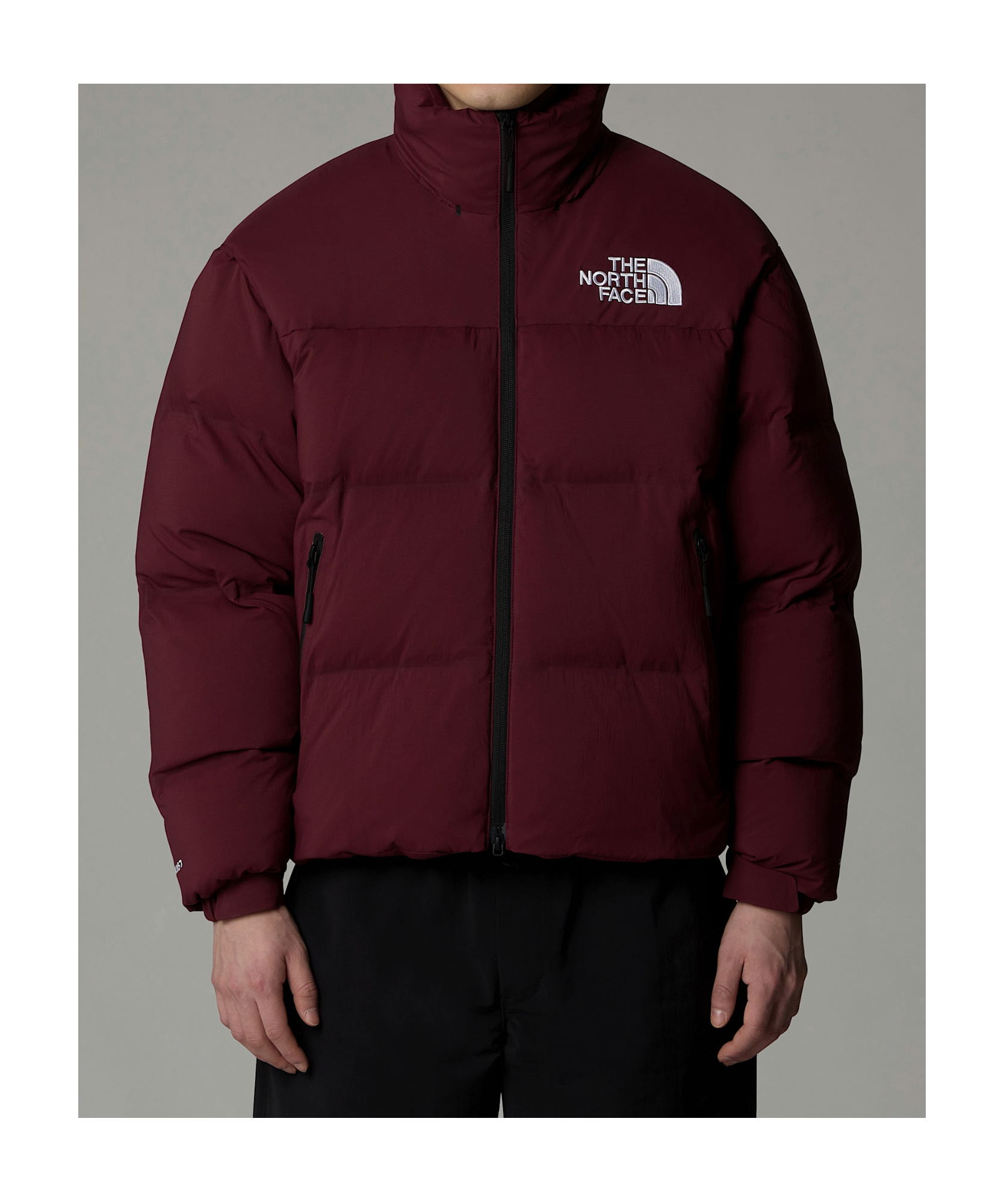 The North Face Long-sleeved Down Jacket In Brown