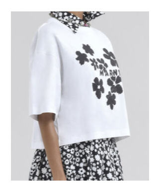 Marni White Cotton T-shirt With Daisy Garden Print In White