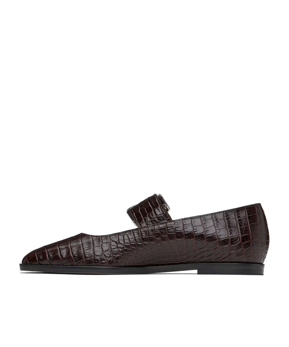Aeyde Brown Sunny Ballerina Flats In Black