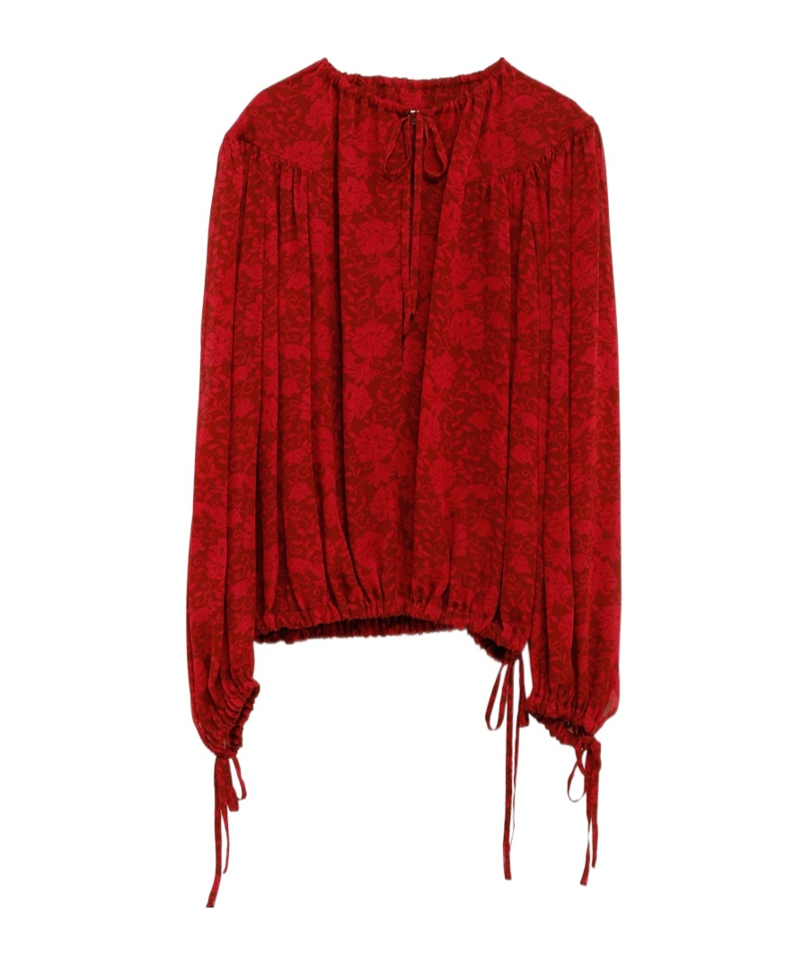Dries Van Noten Cattis Floral-print Georgette Blouse In Red
