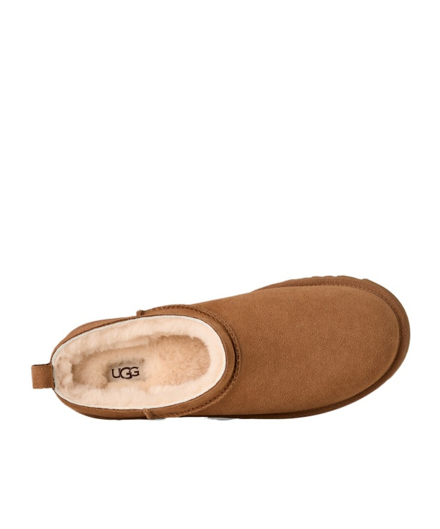 Ugg M Classic Micro Chestnut Sabot In Brown