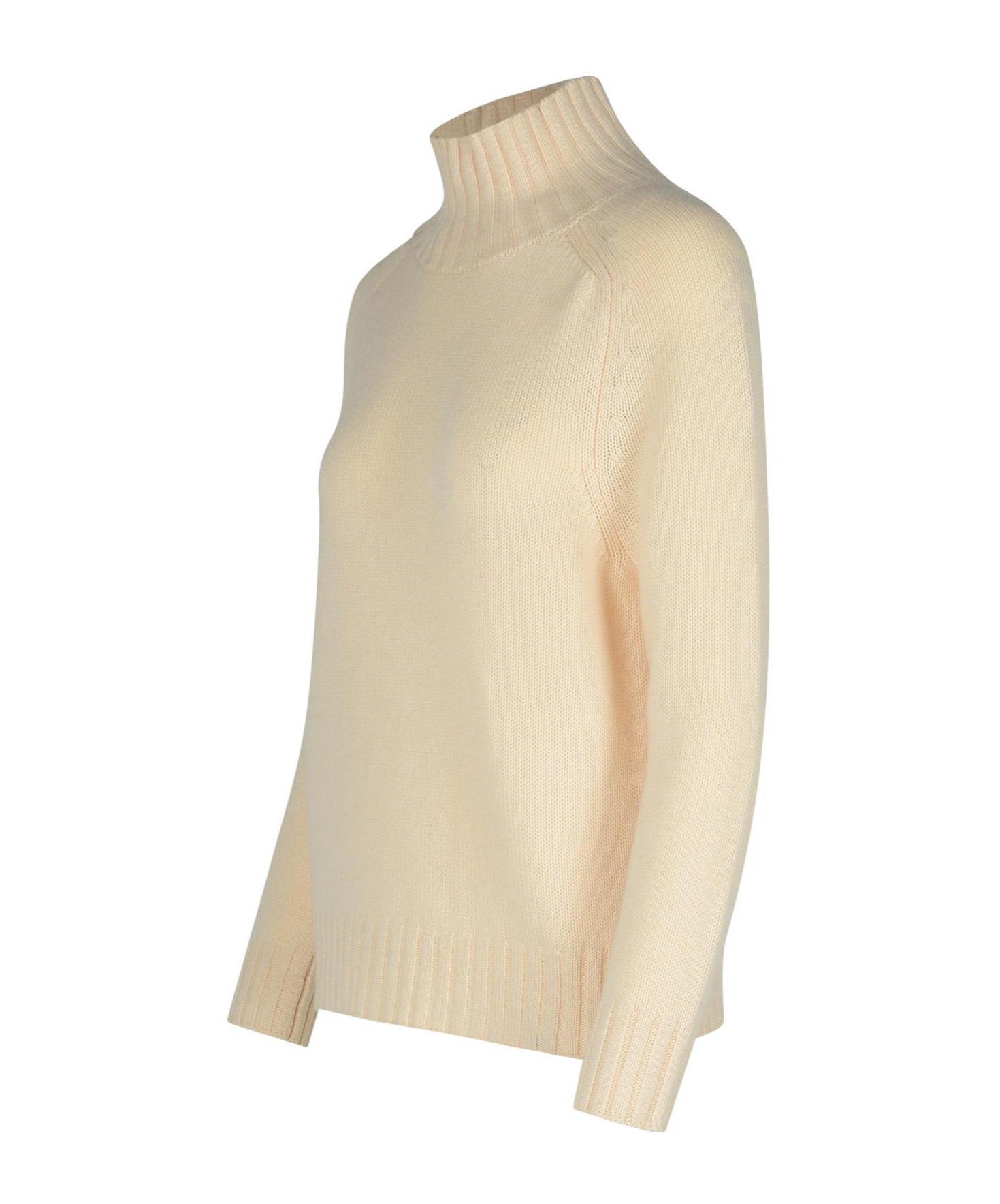 Purotatto Turtleneck Sweater In Nude