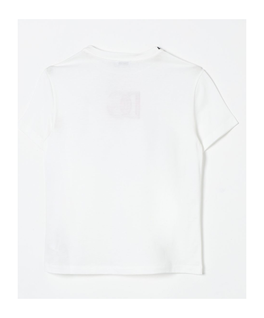Dolce & Gabbana Dg Logo T-shirt In White