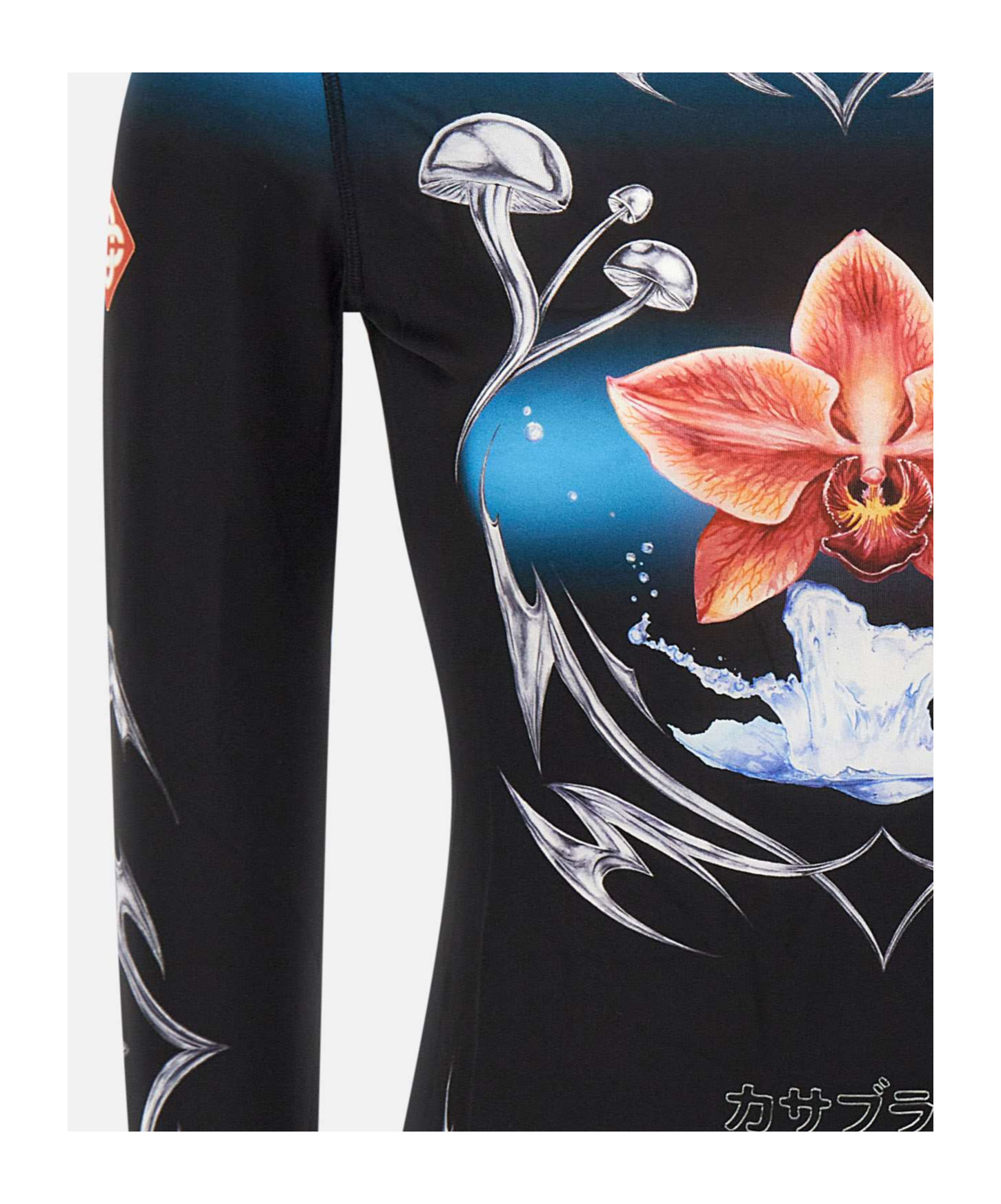 Casablanca Gradient Long-sleeve Top With Orchid Graphic In Blue