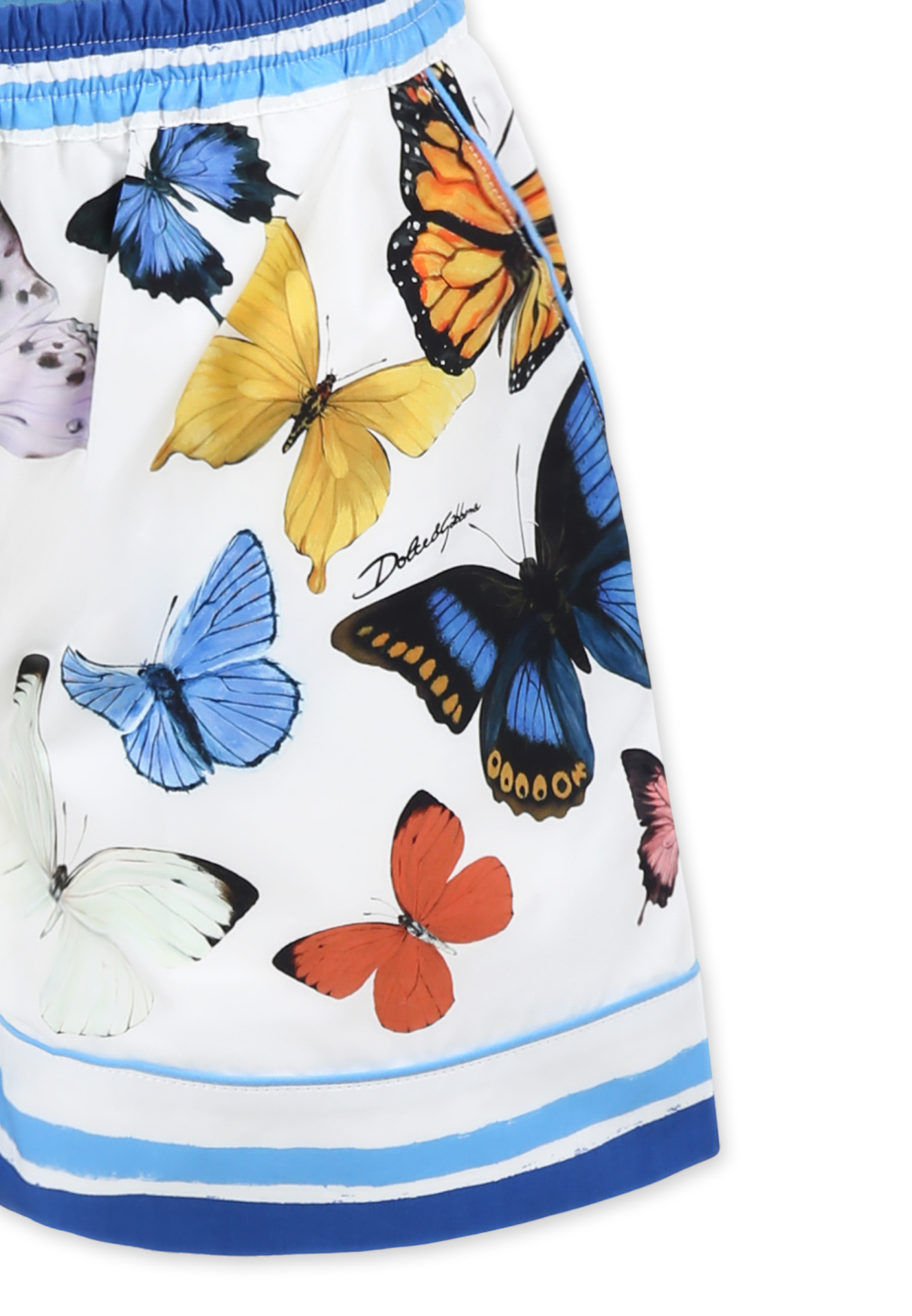 Dolce & Gabbana Butterfly Print Shorts In White