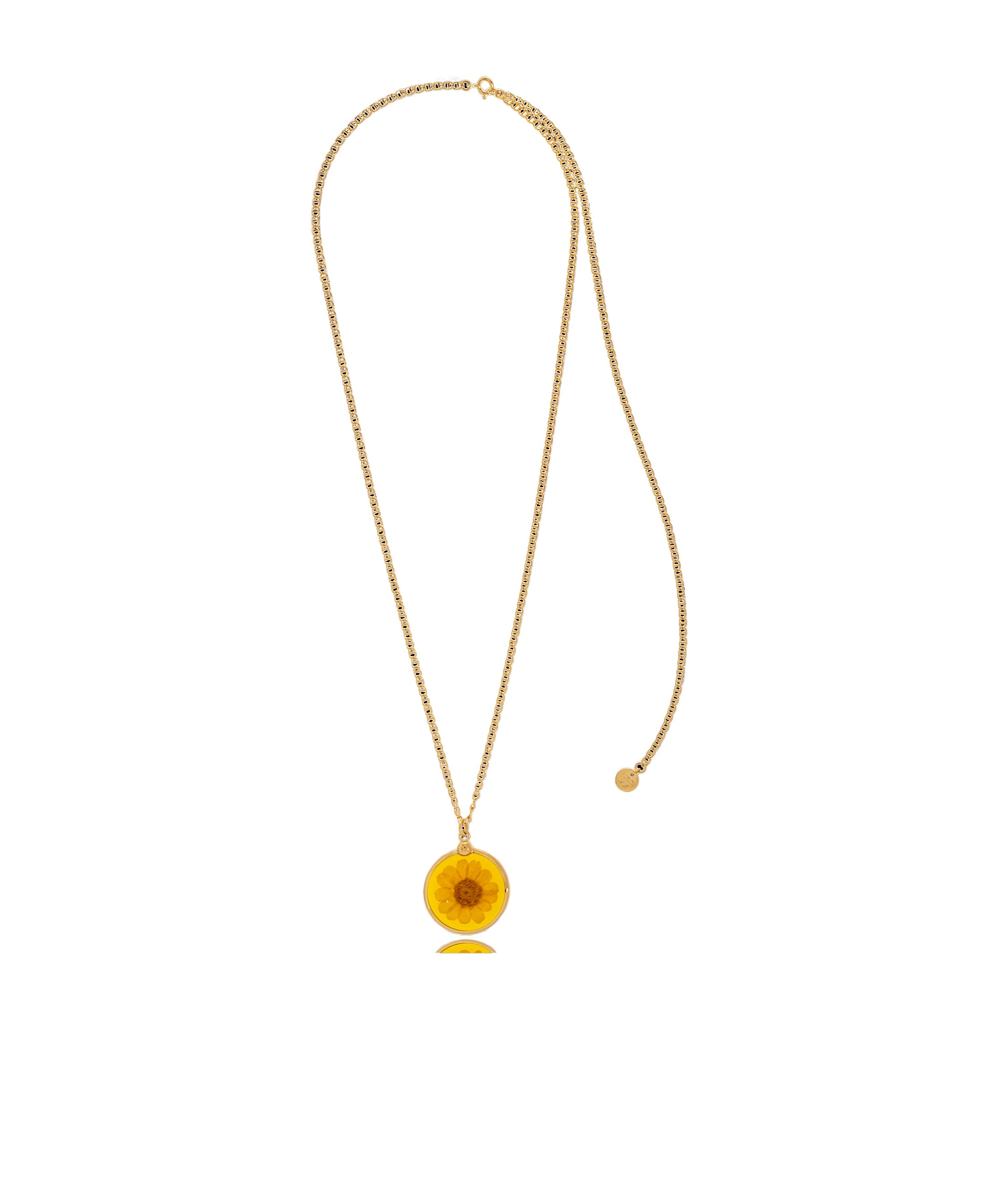 Apc Gold Anastasia Barbieri Edition Fortuna Necklace In Yellow