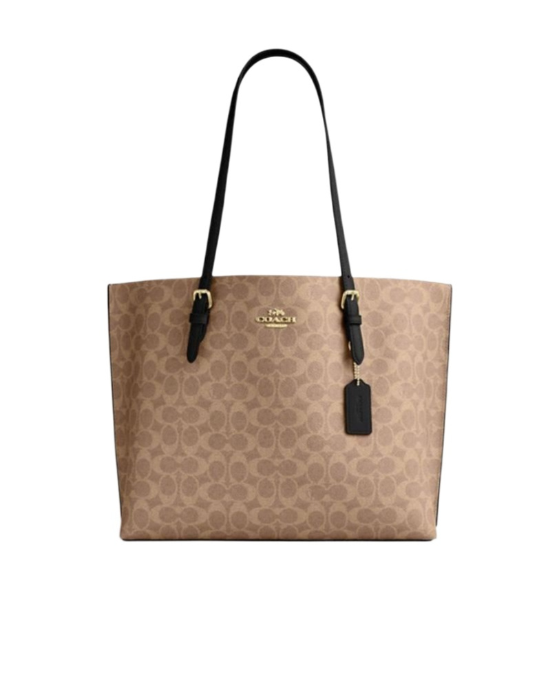 Coach Mollie Tote Bag In Signature Canvas In Brown