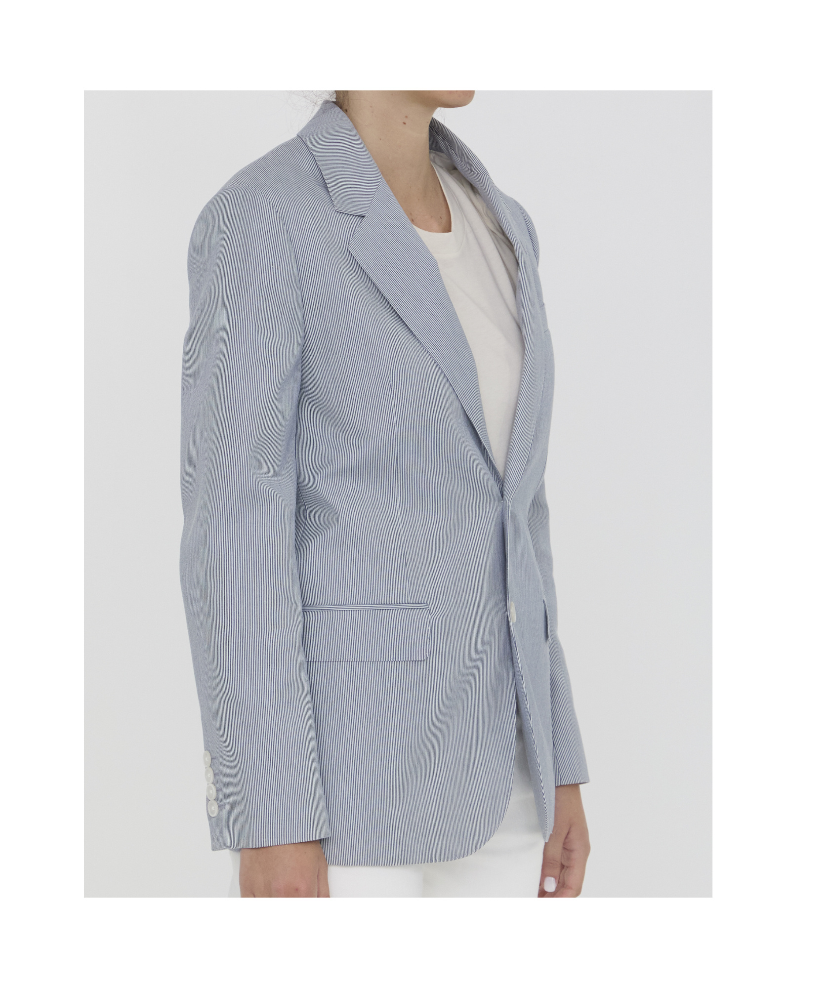 Celine Striped Polyester And Cotton Blend Single-breasted Jude Jacket In Blue And White In Gray