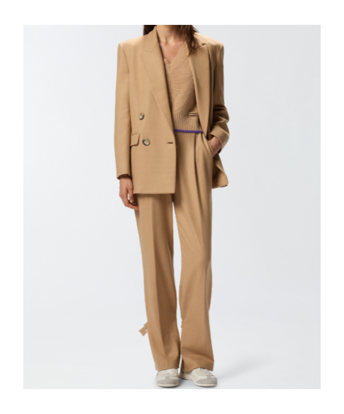 Pinko Wide-leg Trousers With Straps In Brown