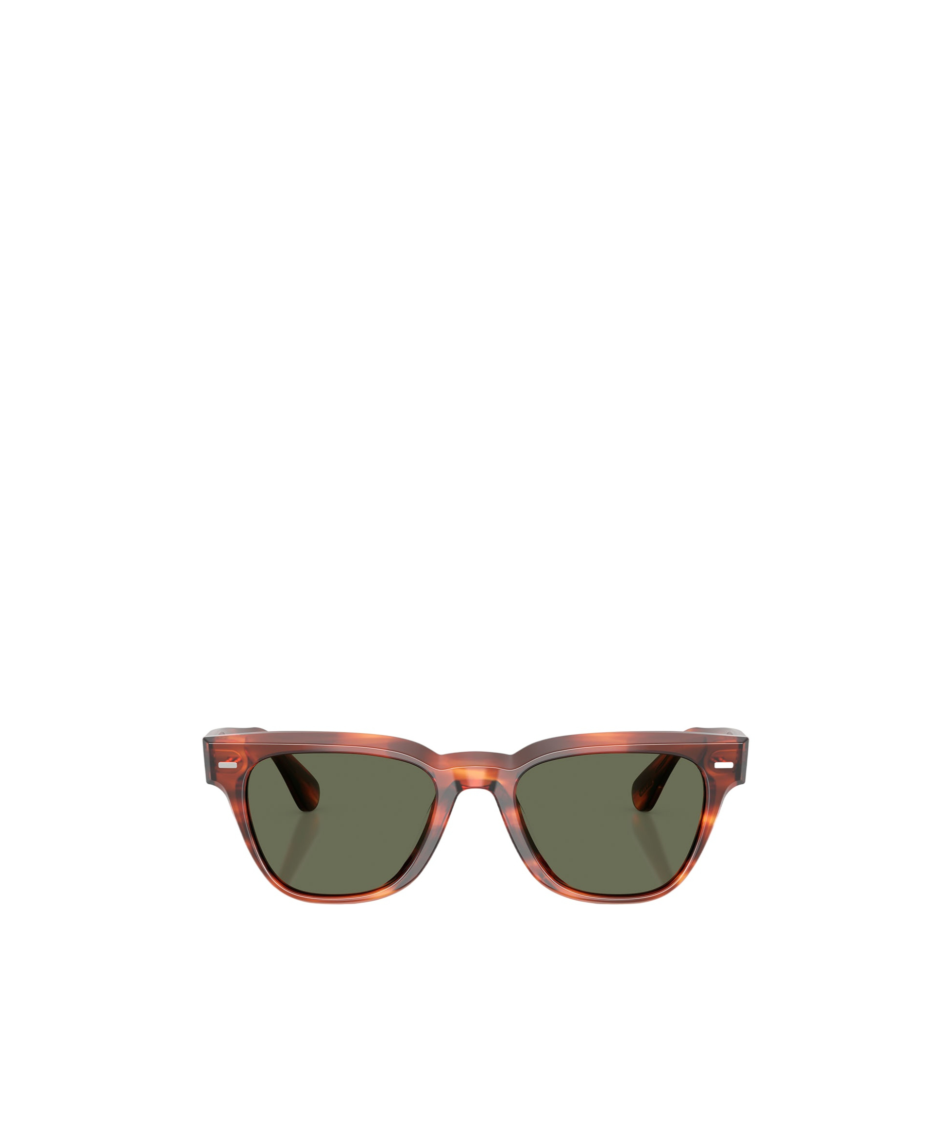Oliver Peoples Rueny Sunglasses In Brown