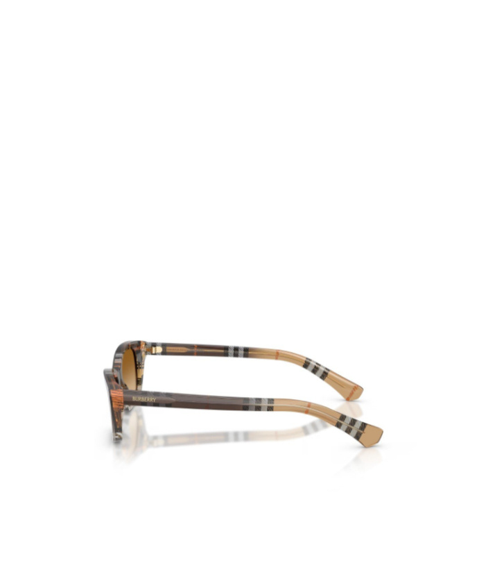 Burberry Check Rectangle-frame Sunglasses In Brown