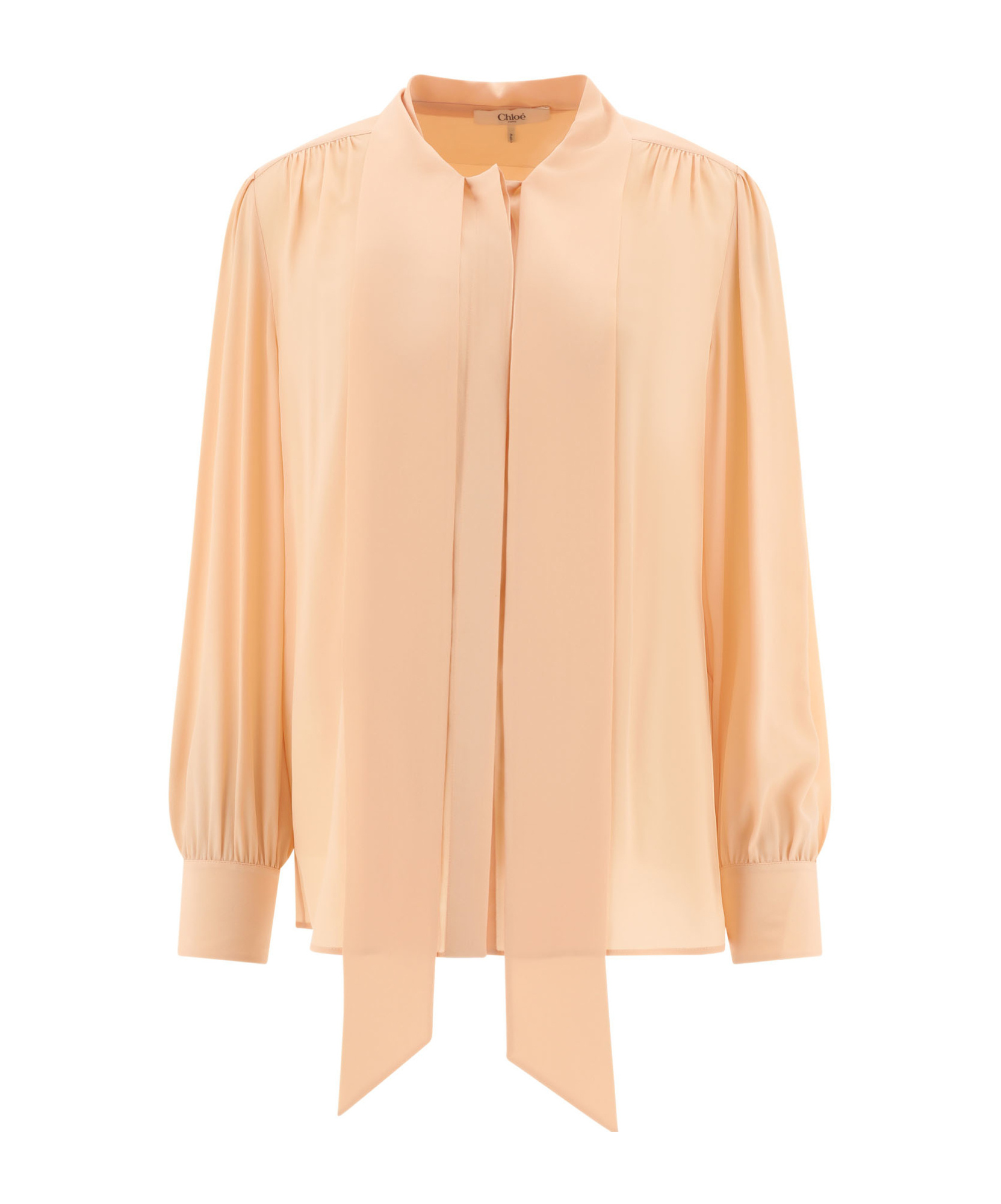 Chloé Sheer Fabric Blouse Drawstring Cuffs In Nude