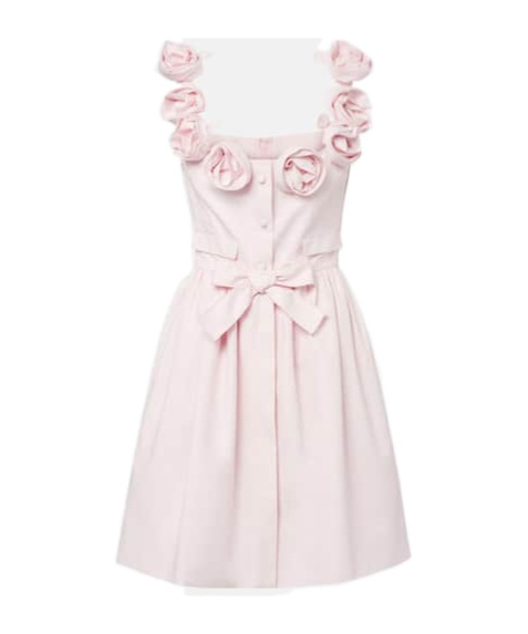 Giambattista Valli Floral-appliqué Cotton Minidress In Pink