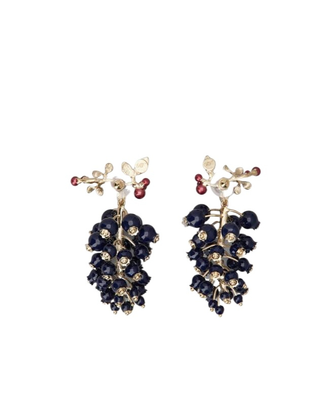 Roger Vivier Earrings