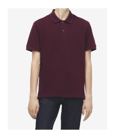 Alexander Mcqueen Men Polo Shirt With Logo On The Collar In Burgundy