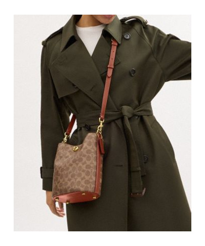 Coach Willow Bucket Bag And Shoulder Bag In Brown
