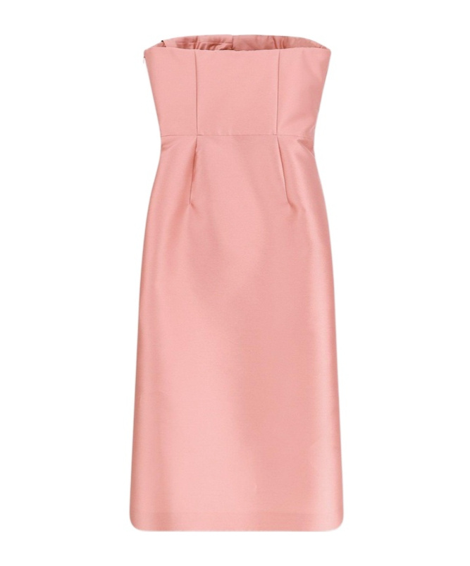 Alberta Ferretti Tube Top Dress In Pink