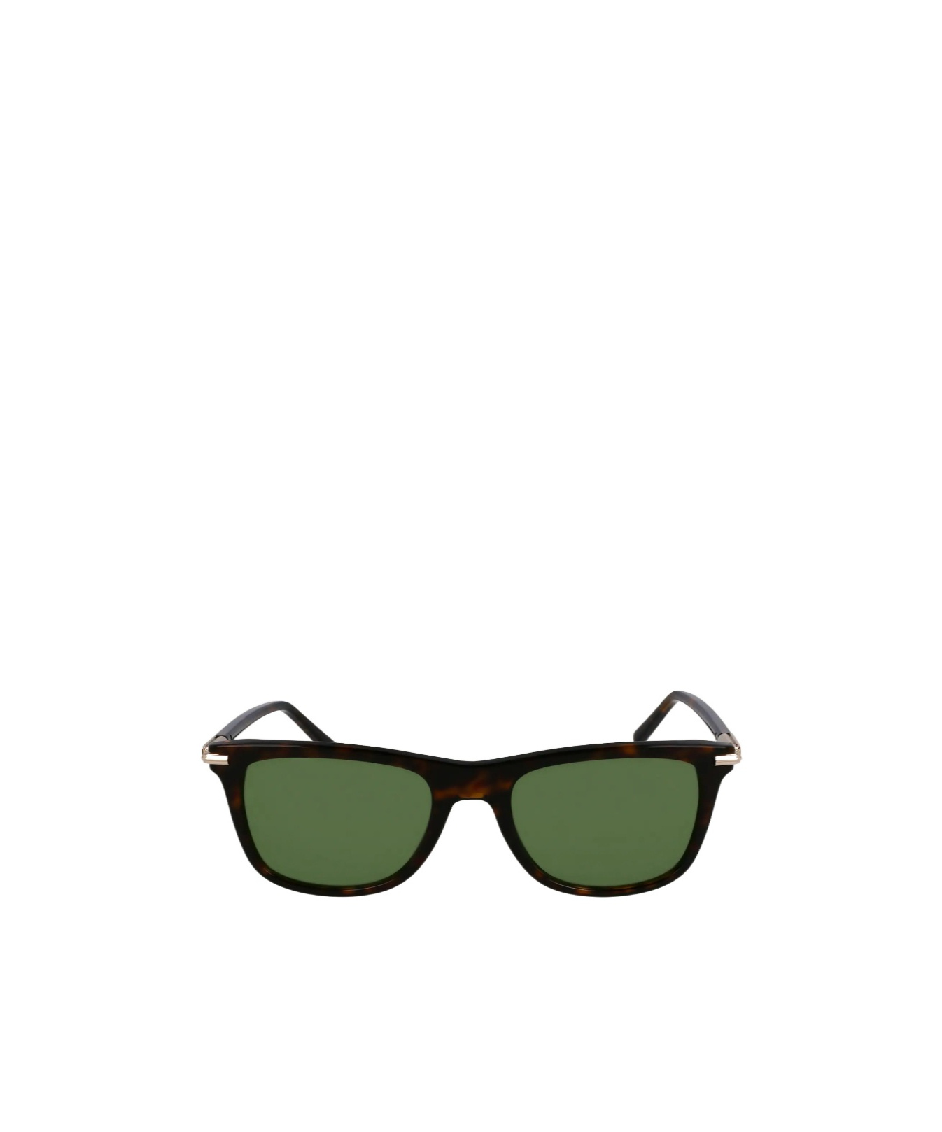 Ferragamo Sunglasses In Brown