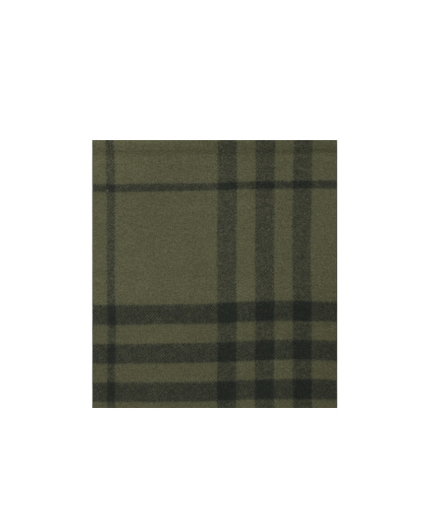 Burberry Plaid Scarf In Green