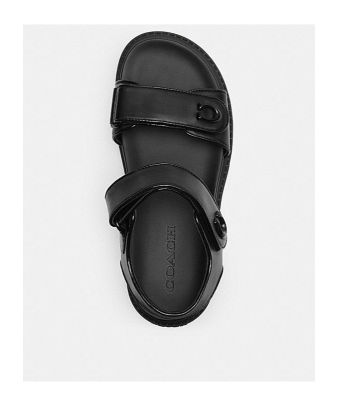 Shop Coach Brynn Leather Sandals In Black