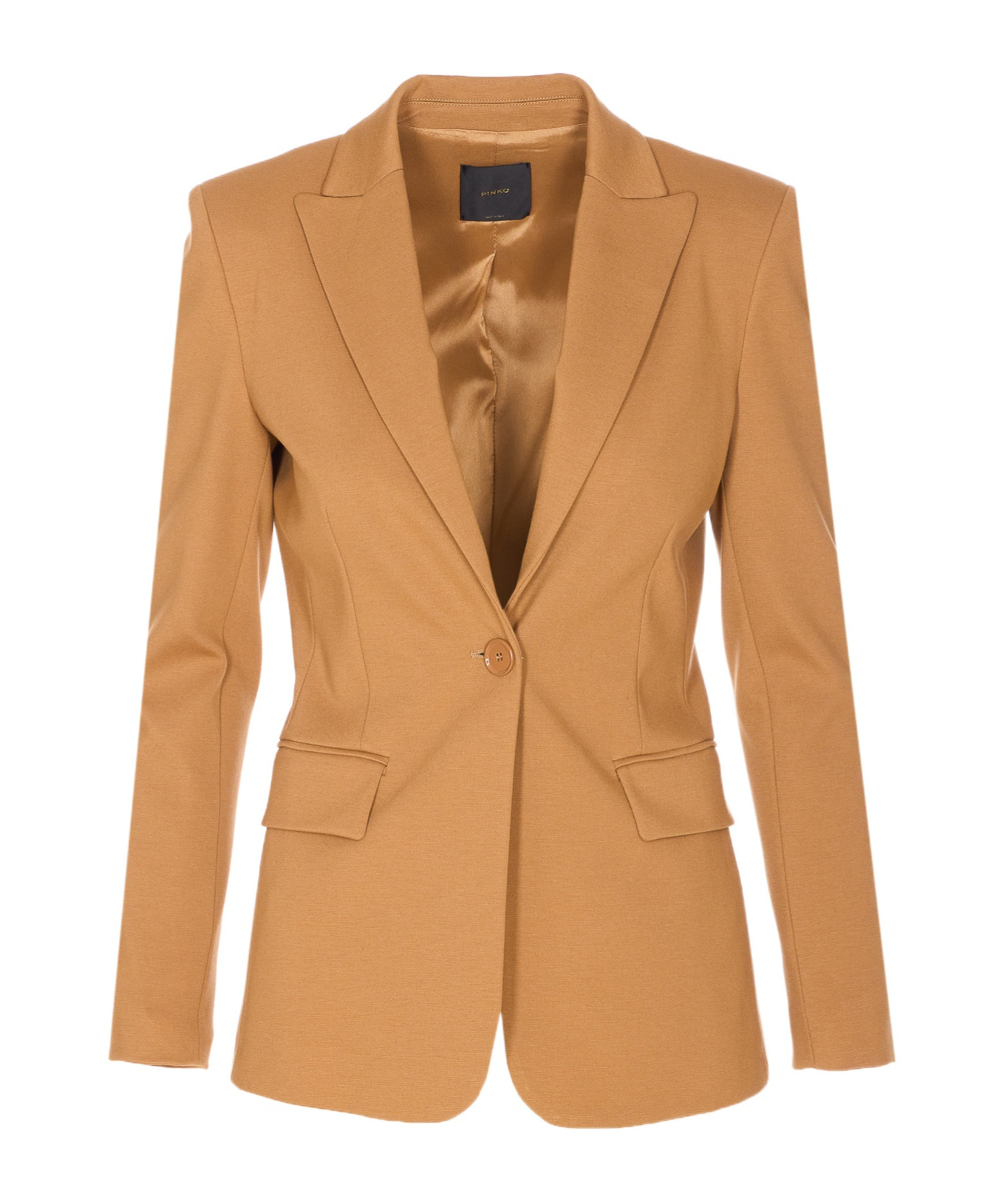 Pinko Structured Blazer With Long Sleeves And Back Vent In Brown
