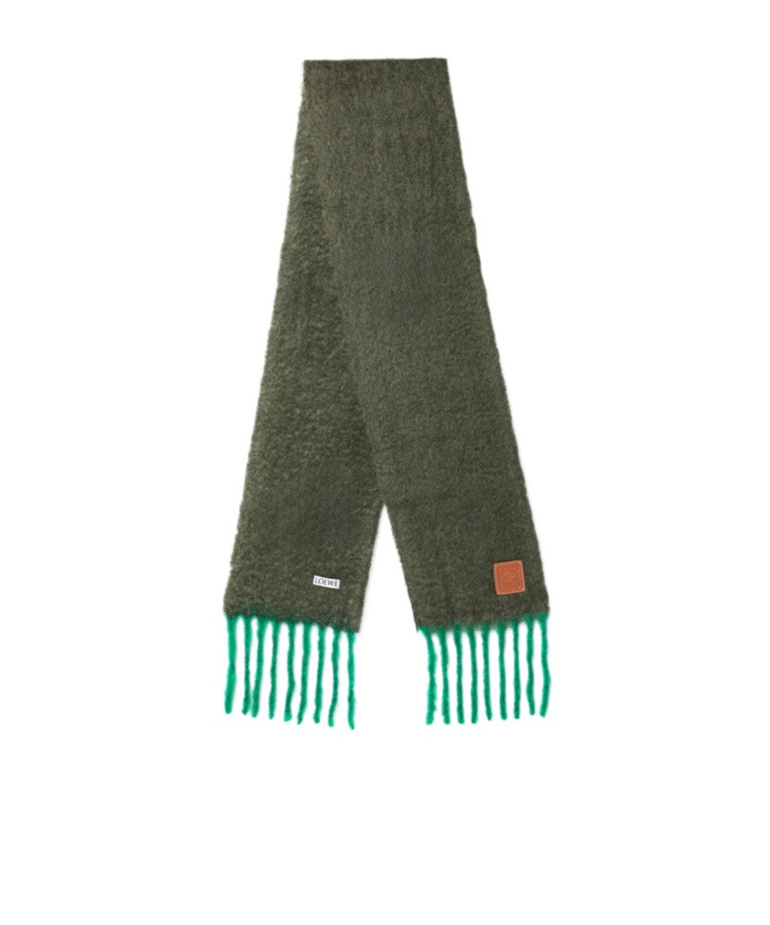 Loewe Fringed Scarf In Green