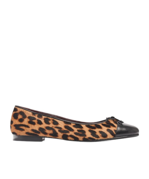 Tory Burch Brown Ballet Shoes With Cap Toe And Leopard Print In Leather Woman