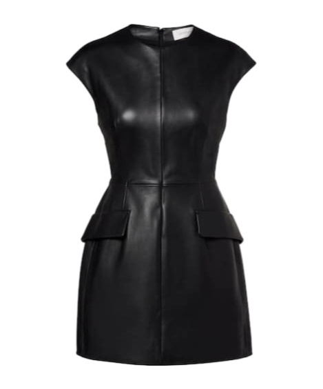 Sportmax Terfrite Leather Minidress In Black