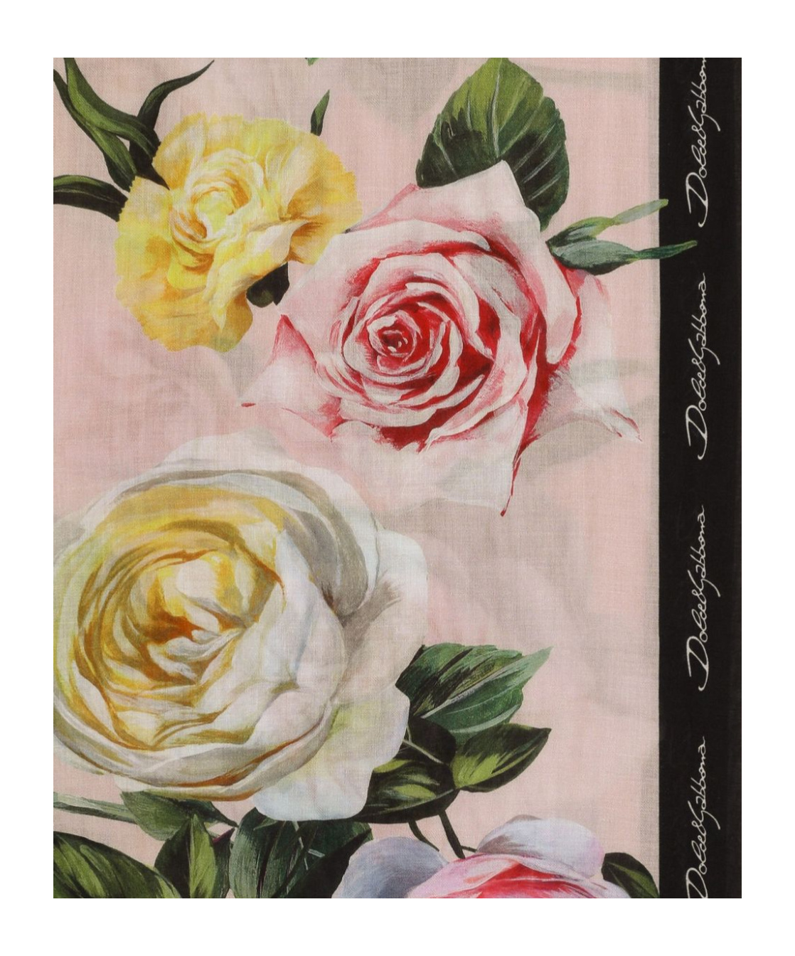 Dolce & Gabbana Pattern Silk Scarf In Pink